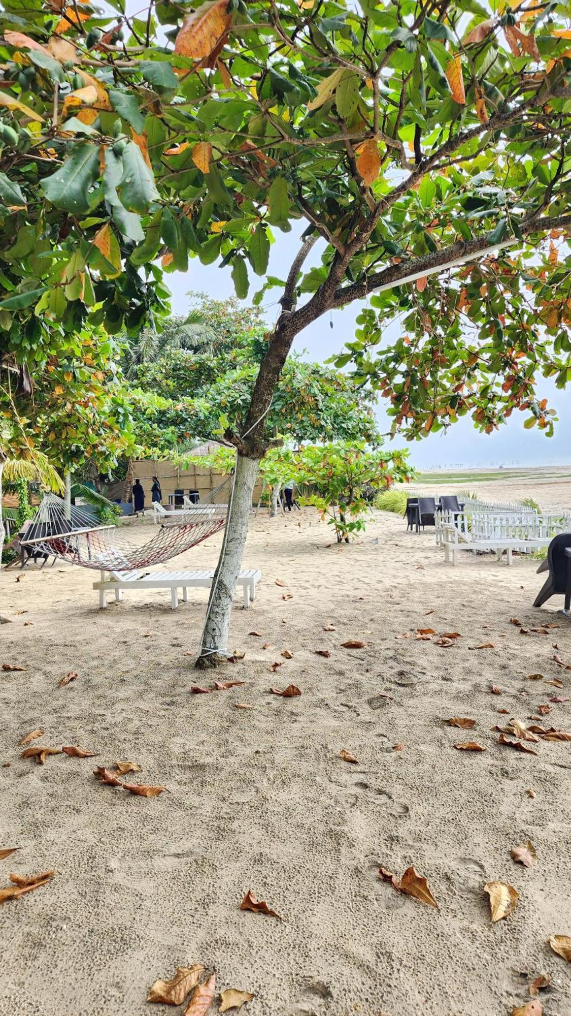Palm Beach Resort, Alleppey Alappuzha Zewnętrze zdjęcie