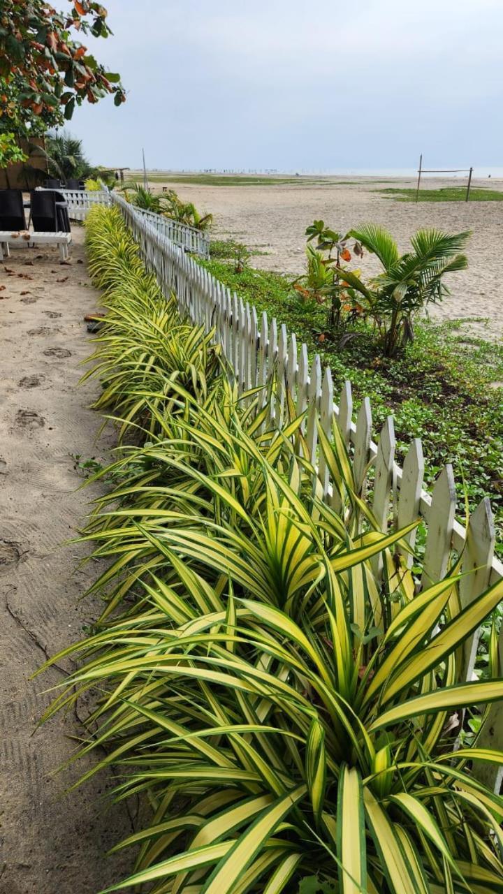 Palm Beach Resort, Alleppey Alappuzha Zewnętrze zdjęcie